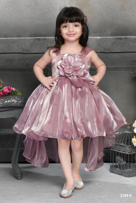 Bablyz Rose Gold Silk Kids Party Frock Dress