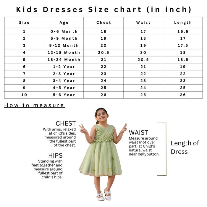 Bablyz Pink Net Party Kids Frock Dress